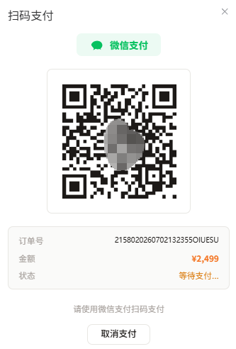 专业版支付